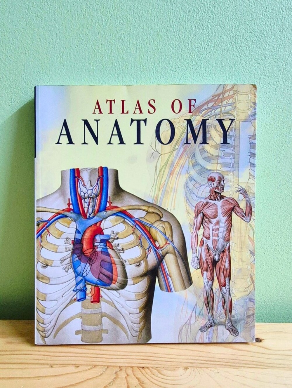 Atlas of Anatomy Paperback Book – Vivid Medical Illustrations & Study Guide